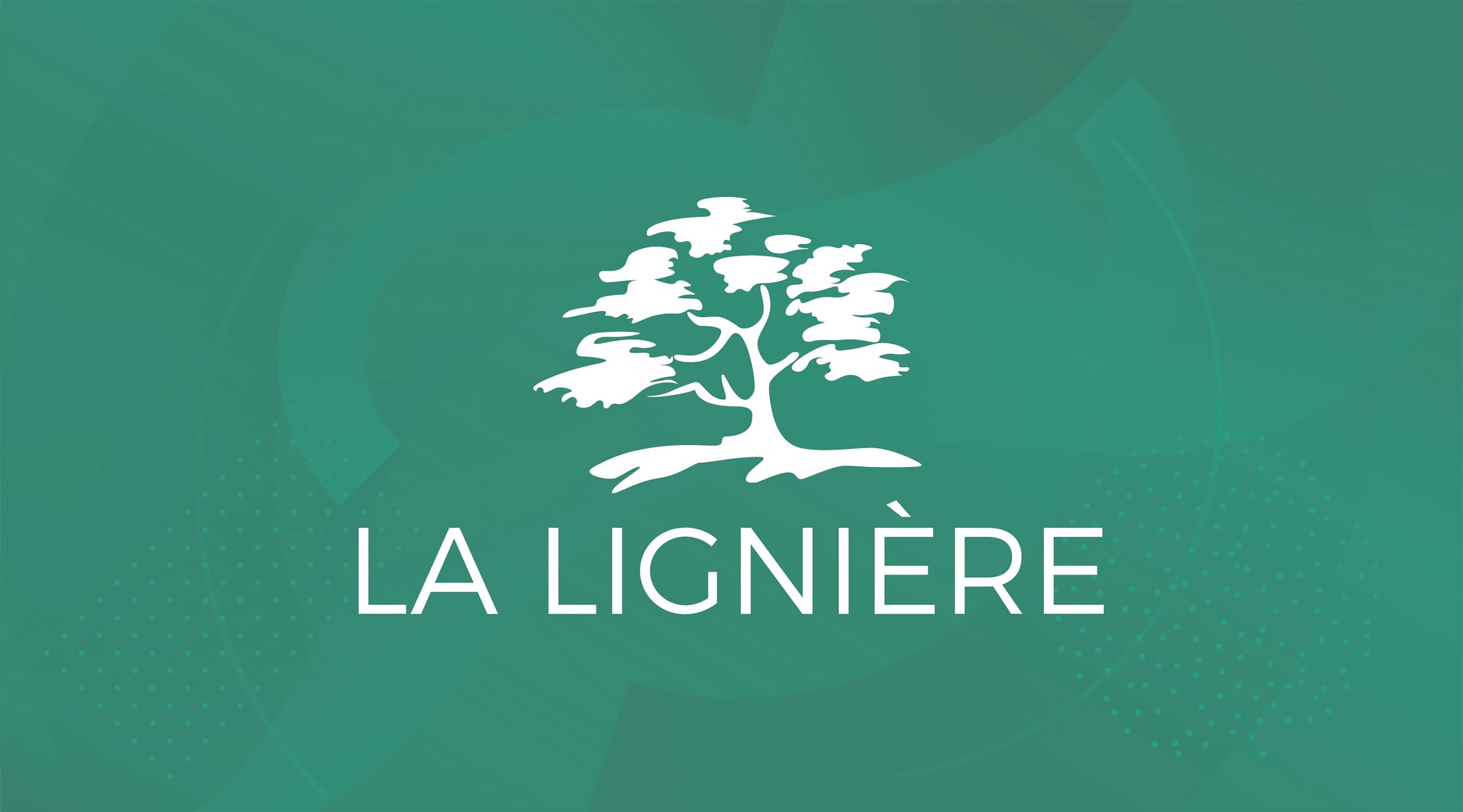 Habefast Etude De Cas La Ligniere Logo Et Identite De Marque