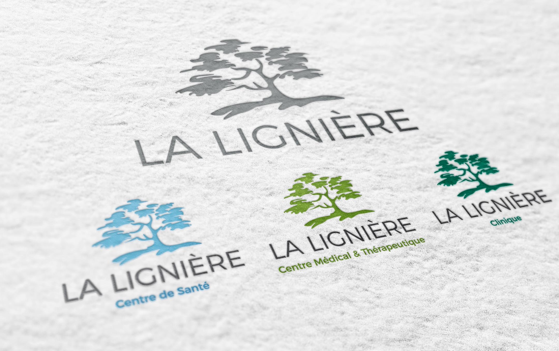Habefast Etude De Cas La Ligniere Logo Habefast Etude De Cas La Ligniere Logo